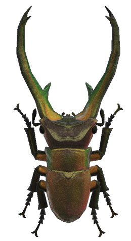 Cyclommatus stag detailed image
