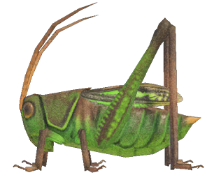 Grasshopper detailed image