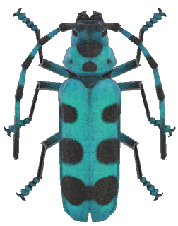 Rosalia batesi beetle detailed image
