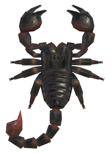 Scorpion detailed image