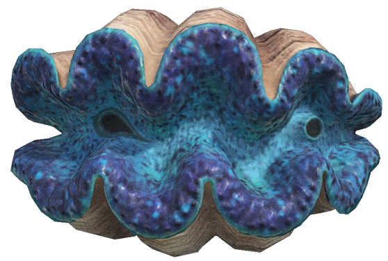 Gigas giant clam detailed image
