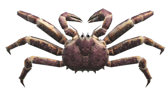 Red king crab detailed image