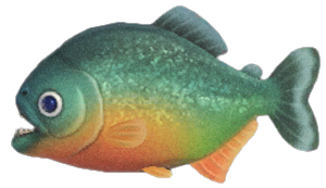 Piranha detailed image