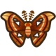 Atlas Moth: next page critter icon