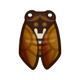 Brown cicada: next page critter icon