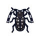 Citrus long-horned beetle icon