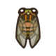 Evening cicada: previous page critter icon
