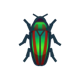 Jewel beetle: previous page critter icon