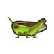 Rice grasshopper: previous page critter icon