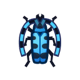 Rosalia batesi beetle icon
