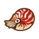 Chambered nautilus icon