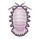 Giant isopod: next page critter icon