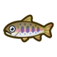 Cherry salmon icon
