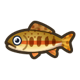 Golden trout icon