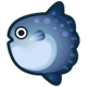 Ocean sunfish: previous page critter icon