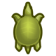 Soft-shelled turtle: next page critter icon