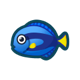 Surgeonfish: previous page critter icon