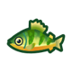 Yellow perch: previous page critter icon