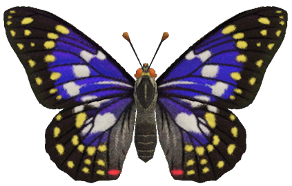 Great Purple Emperor detailed image