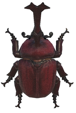 Horned dynastid detailed image