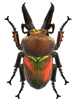 Rainbow stag detailed image
