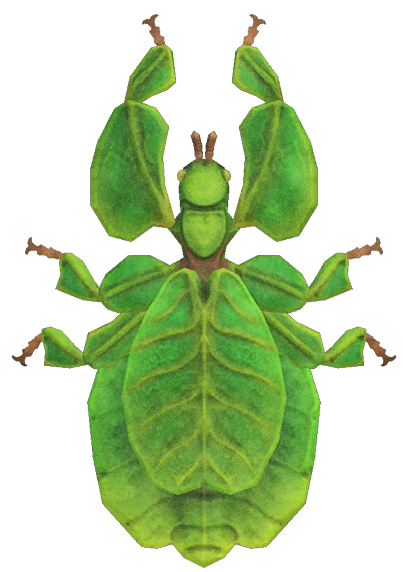 Walking leaf detailed image
