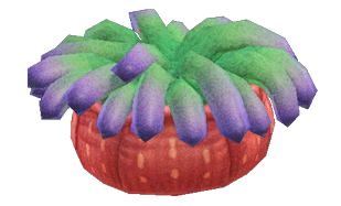 Sea anemone detailed image