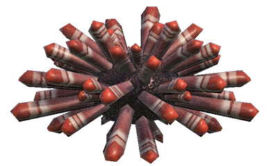 Slate Pencil Urchin detailed image