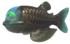 Barreleye detailed image