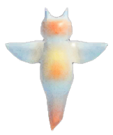 Sea butterfly detailed image