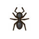 Ant icon