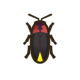 Firefly icon