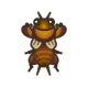 Mole cricket icon