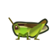 Rice grasshopper icon