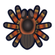 Tarantula icon