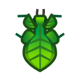 Walking leaf icon