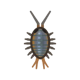 Wharf roach icon