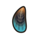 Mussel icon