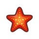 Sea star icon