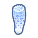 Venus' Flower Basket icon