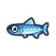 Anchovy icon