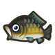 Carp icon