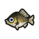 Crucian carp icon