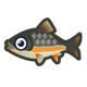 Dace icon