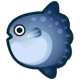 Ocean sunfish icon