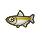 Pond smelt icon