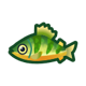Yellow perch icon